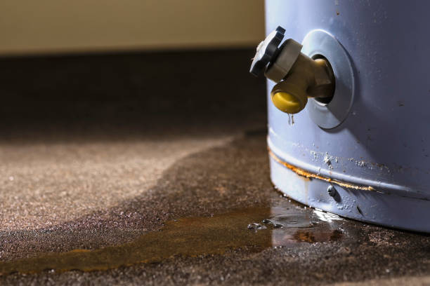 Best Sewage cleanup and water damage restoration  in Pelahatchie, MS