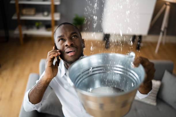 Best 24-hour water damage restoration  in Pelahatchie, MS