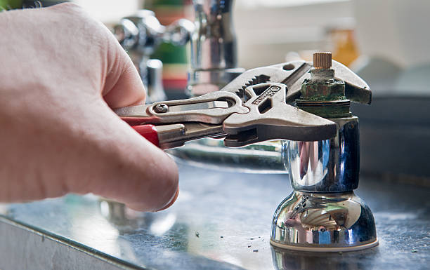 Best Local water damage restoration  in Pelahatchie, MS